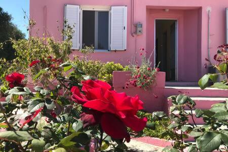 Pink House Villa Peszáda Kültér fotó